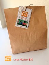 Load image into Gallery viewer, Summer Mystery bags