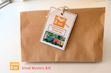 Load image into Gallery viewer, Summer Mystery bags