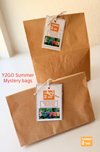 Load image into Gallery viewer, Summer Mystery bags