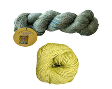 Load image into Gallery viewer, All smiles shawl, knit kit