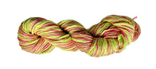 Load image into Gallery viewer, Stipple skeins - yarnz2GO.com