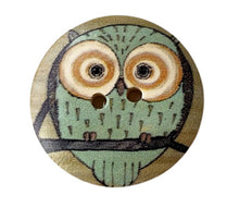 Load image into Gallery viewer, Owl shawl pins