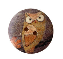 Load image into Gallery viewer, Owl shawl pins