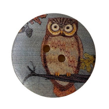 Load image into Gallery viewer, Owl shawl pins