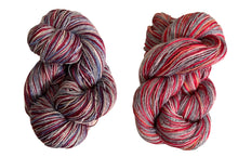 Load image into Gallery viewer, Wiggins loop