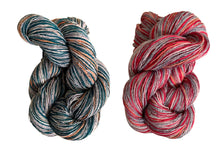 Load image into Gallery viewer, Wiggins loop