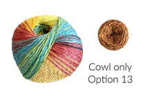 Load image into Gallery viewer, Patches Cowl
