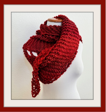 Load image into Gallery viewer, NEW!  Pierre shawl
