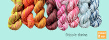Load image into Gallery viewer, NEW! Stipple skeins
