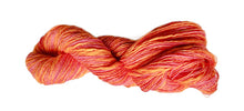 Load image into Gallery viewer, NEW! Stipple skeins
