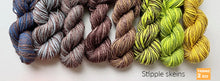 Load image into Gallery viewer, NEW! Stipple skeins
