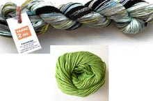 Load image into Gallery viewer, Ellwood shawl kit - yarnz2GO.com
