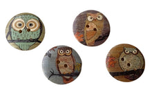 Load image into Gallery viewer, Owl shawl pins
